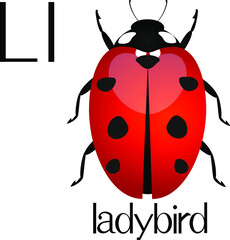 Illustration for teaching children the English alphabet with cartoon ladybird. The letter L.