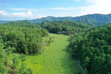 徳島県三好市　黒沢湿原の風景