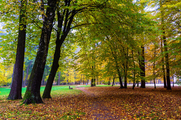 Park Konstytucji 3 Maja w Białymstoku, Jesień w parku Zwierzynieckim, Białystok, Podlasie