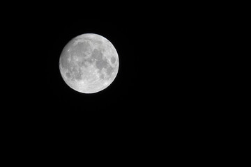 Close-up of a full moon against a dark sky.