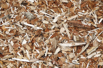 White, gray and brown wood chips as an abstract natural background, texture.