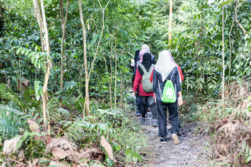 Naklejka na ściany i meble Asian muslimah female hiking in tropical rainforest in the morning