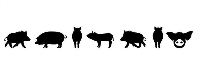Vector silhouette of collection of wild boars and pigs on white background. Symbol of forest and farm animals.
