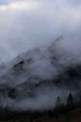 Nebliger Herbst, Dichter Nebel im Wald, Herbstwetter in den Alpen