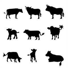 Vector silhouette of collection of cows and calf on white background. Symbol of farm animal.
