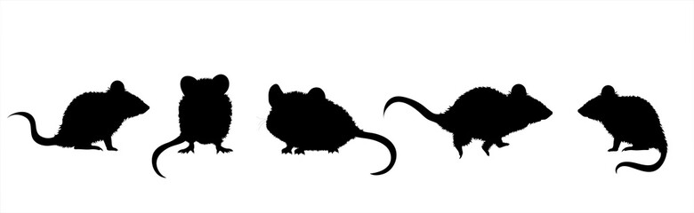 Vector silhouette of collection of mouse on white background. Symbol of farm animal and rodent.