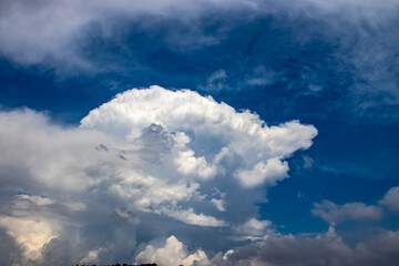 The blue sky in the background makes the cloud stand out.
