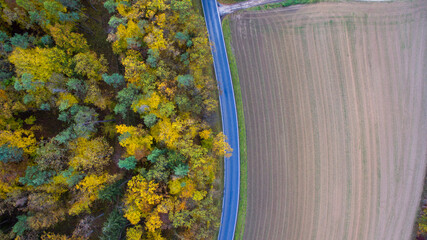 Aerial autumn road and forest