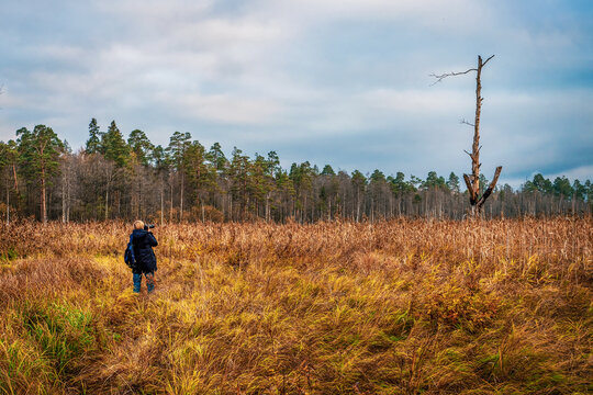 A photographer in the wild at the location takes a single dry tree.