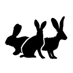 Vector silhouette of collection of rabbit on white background. Symbol of forest animal and hare.