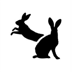 Vector silhouette of couple of rabbit on white background. Symbol of forest animal and hare.
