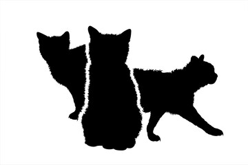 Vector silhouette of collection of cats on white background. Symbol of home animal and pet.
