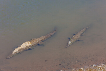 The overwhelming beauty of the flora and fauna of Costa Rica. Photos taken during a tour through this beautiful country,
