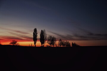 Sunset in the steppe