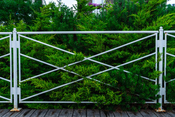 Wrought iron fence in the green garden