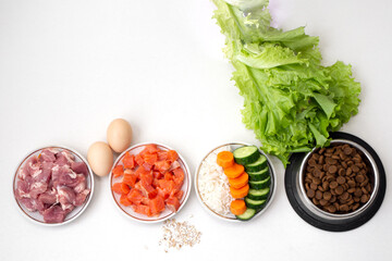 Dry pet dog food in bowl with natural ingredients. Raw meat, fish, vegetables, eggs and salad. concept of correct balanced and healthy nutrition for pet, flat lay