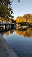 Fototapeta premium boston park in an autumn afternoon