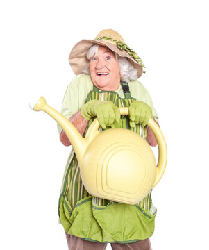 A senior woman gardener isolated on a white background.