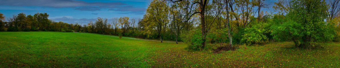 Panorama of an autumn lawn in a park