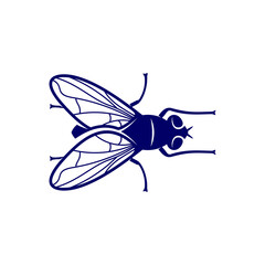 Flies design vector, Illustration Flies design template, Symbol icon