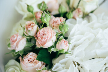 A beautiful soft background of small pink roses and white hortensia, close up view