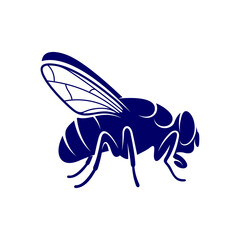 Flies design vector, Illustration Flies design template, Symbol icon