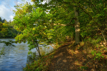 Ufer des Rur-Staubeckens in der Eifel