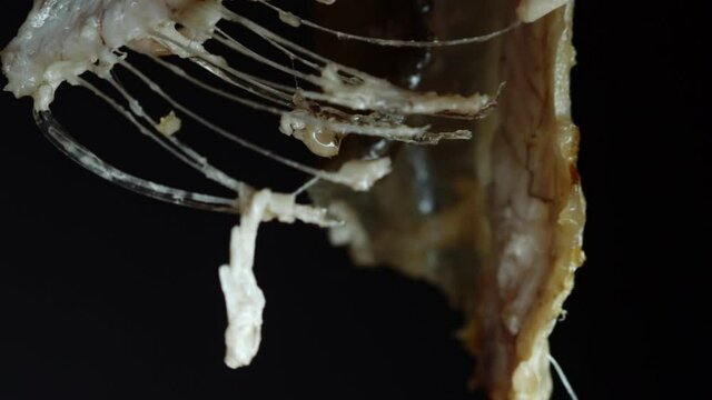 Close-up of fishbone dangling with leftovers of white meat on black background