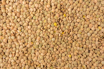 green lentils Lens culinaris against, with copy space. Selective focus. texture background