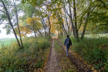 Obraz premium Herbst im Nebel