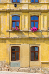 Fototapeta na wymiar Pink flowers on a yellow house in Litomerice, Czech Republic