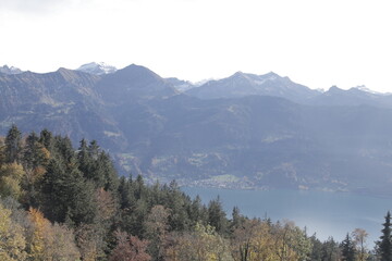 Natur, Landschaft, Herbst, Baum , Blätter , Schweiz, Wald, Reisen, Tourismus, Park , Grün, Travelling, Travel, Autmn, Autnm, Trip, Tourism,Switzerland, forest, tree, landscape, valley Mountain, Berg