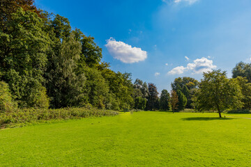 Lush green trees next to an area with green grass in the kelmonderbos forest with a tree next to a trail, sunny spring day with blue sky and white clouds in Beek, South Limburg / Netherlands Holland