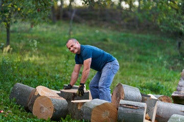 Lumberjack manhandling the beech logs