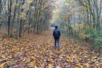 Fototapeta premium Herbst im Nebel