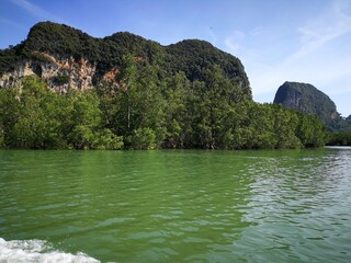 mountain river in the mountains