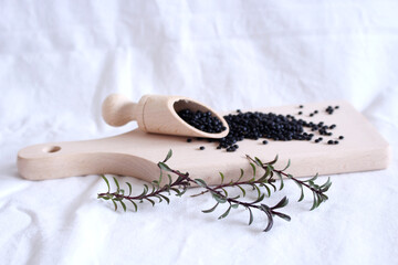 Satureja montana winter savoury or mountain savoury, is a herb. It has dark green leaves and flowers ranging from pale lavender, or pink to white. Beluga lens in the background.