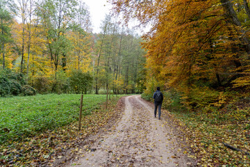 Herbst im Nebel