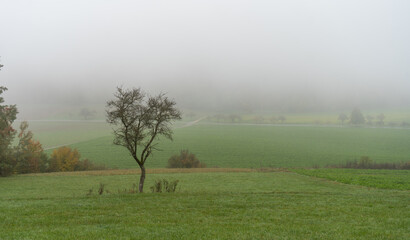 Obraz premium Herbst im Nebel