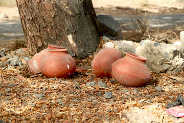 india traditional clay pots keep near tree with tea cup
