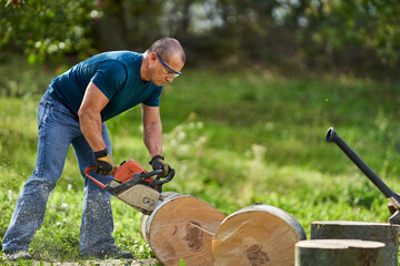 Lumberjack sawing beech logs