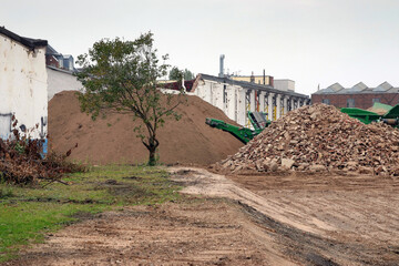 kleiner baum am rande der großbaustelle