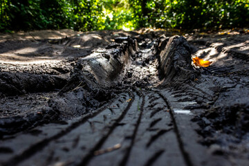 tire track