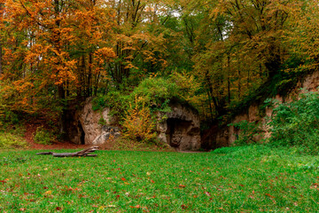 The Savelsbos (English Savelsbos) is a forest with former quarries which is now given back to nature and gives amazing possibilities for hikes. Specially during autumn it gives colorful views.