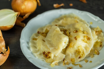 Russian dumplings with fried onion on a plate. Traditional russian cuisine.