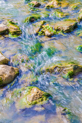 Close-up of clean and transparent water flowing between stones with moss in a river, sunny day with slight reflection on the water surface