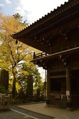 Exploring the temples and nature around Mount Fuji during Cherry Blossom on Honshu Island in Japan
