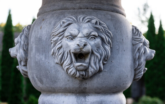 the image of a lion on the fountain