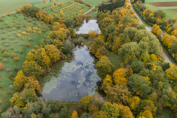 Fototapeta na wymiar Wald im Herbst mit See