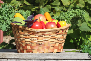 Volunteering concept, help. A basket of vegetables stands on a wooden table in the garden